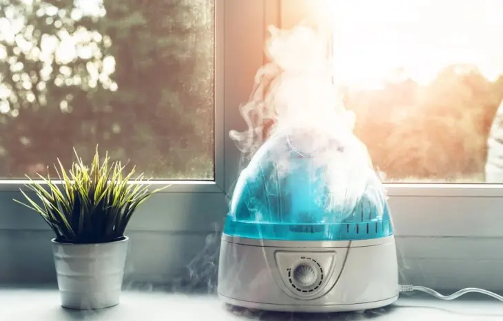 Gunakan Humidifier di Dalam Ruangan