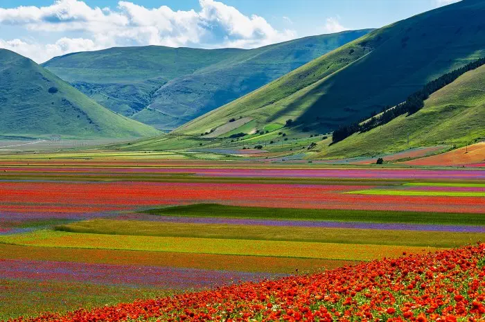 Castelluccio di Norcia, Umbria